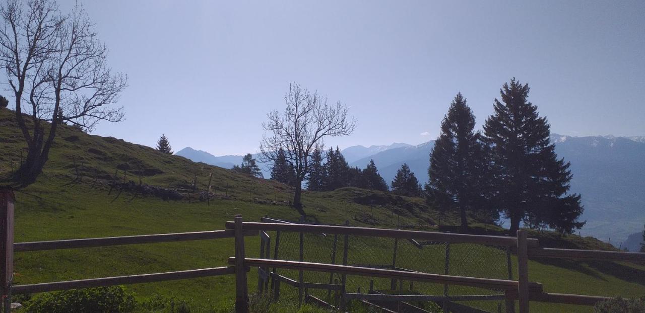 Ferienwohnungen Hochzillertal Kaltenbach Exteriér fotografie